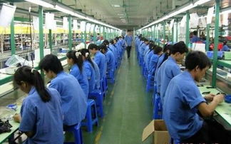 佛山市勞務市場解析 勞務派遣、勞務外包與職業中介活動詳解