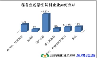 代辦昌平區勞務派遣許可證、公司增資墊資與專業勞務派遣服務全攻略